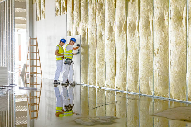 Best Insulation Maintenance and Repair in West Whittier Los Nietos, CA